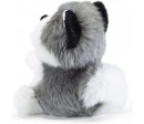29047 - Fluffy Husky