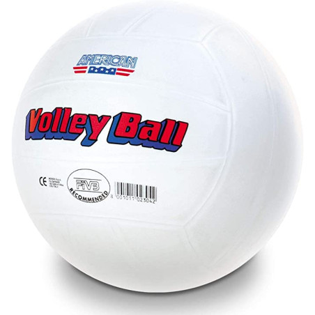 Pallone da Beach Volley