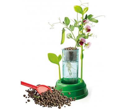 Clementoni - Scienza e Gioco Botanica - Idrocultura Mini New 19377