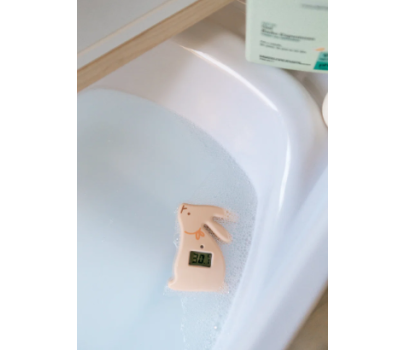 Suavinex - Termometro da Bagno Wonderland Assortito 1pz